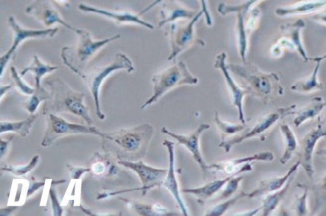 Ts2 LED Phase contrast