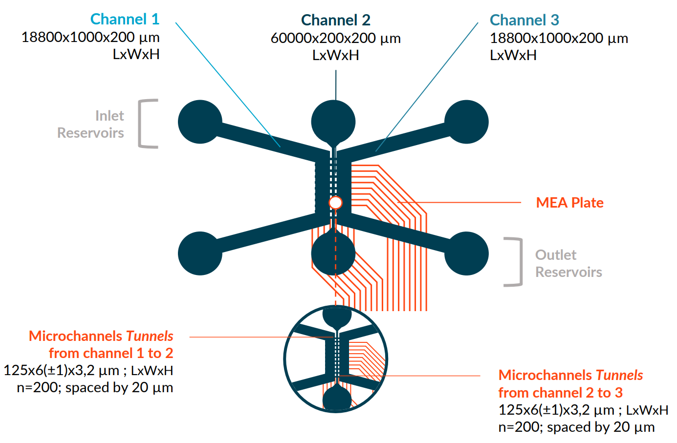 Technical specifications of the DuaLink MEA plate from NETRI.