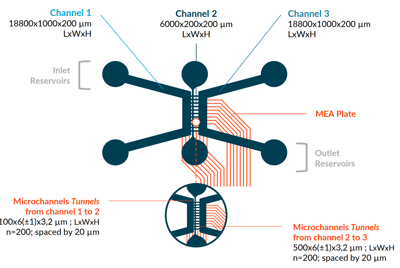 Technical specifications of the DuaLink Shift MEA plate from NETRI.