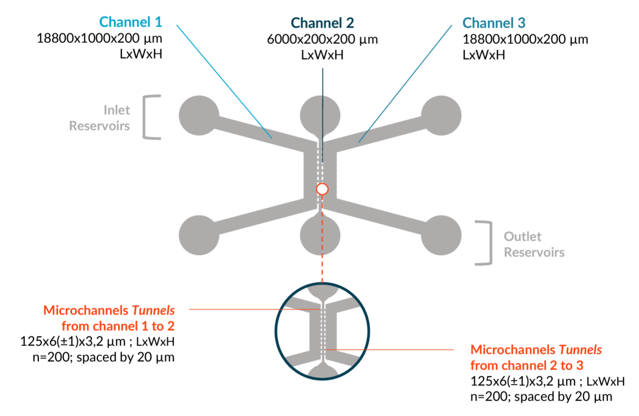 Technical specifications of the DuaLink plate from NETRI.