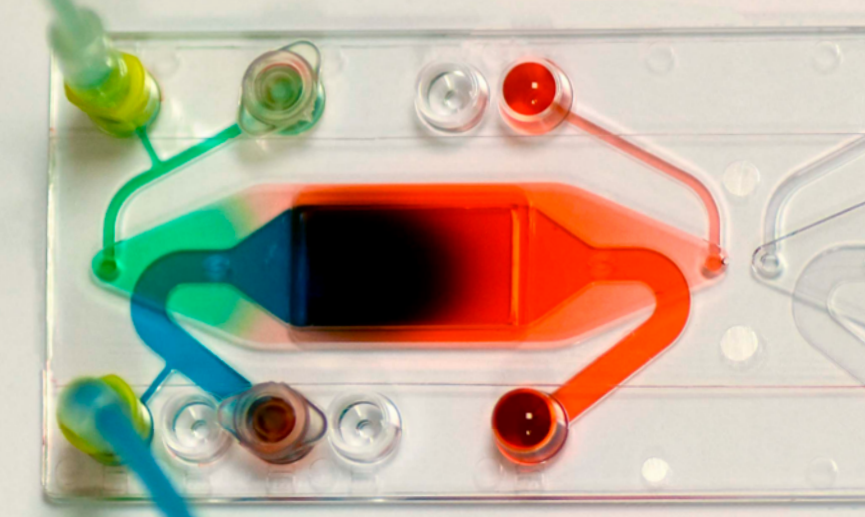 Image of the Fluidic 653 perfused with coloured liquids