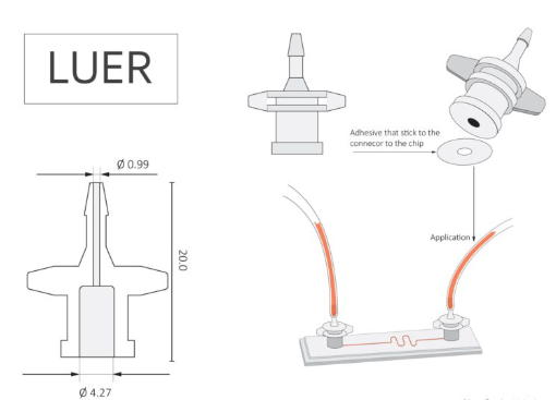 The Luer connectors are made from medical grade PP and can also be used for chip-to-world connection of Flexdym microfluidic chips. They are fixed onto the chip surface via O-ring adhesives tested for cytotoxicity. The Luer connectors have an internal diameter at the base of 4.27 mm.