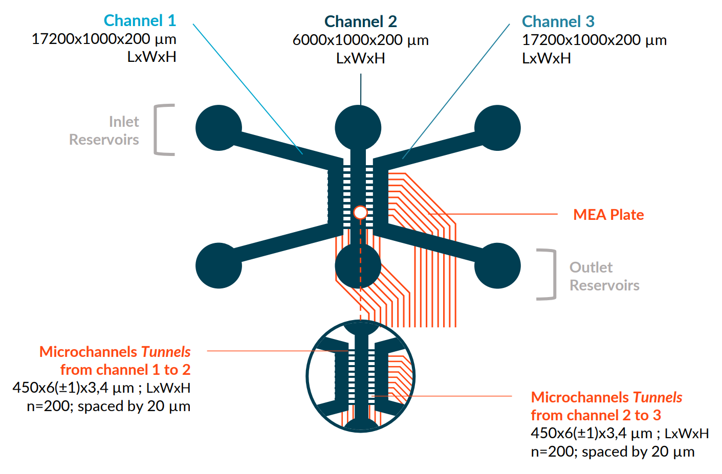 Technical specifications of the TriaLink MEA plate from NETRI.