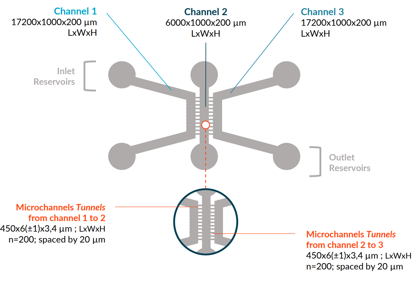 Technical specifications of the TriaLink plate from NETRI.