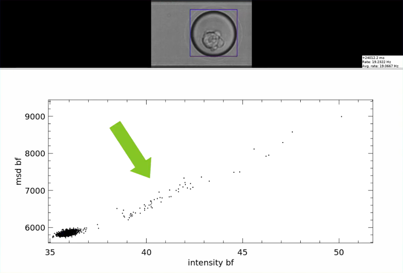 ODIN software interface showing scatter plot gating and live particle images